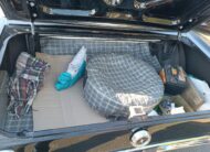 FORD MUSTANG 1965 V8