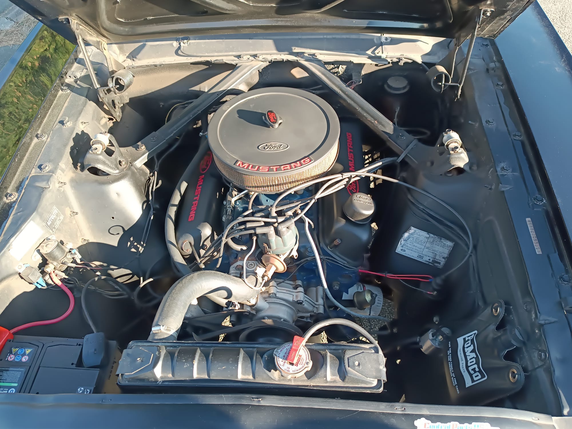 FORD MUSTANG 1965 V8